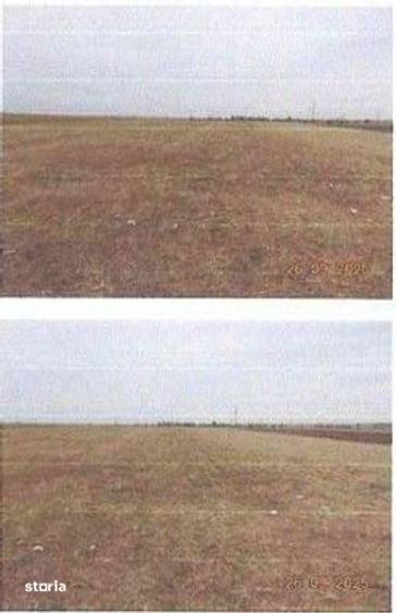 Teren de 5000 mp, în Verguleasa