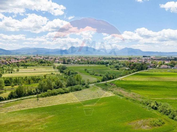 Teren agricol extravilan de 25100 mp, în Prejmer