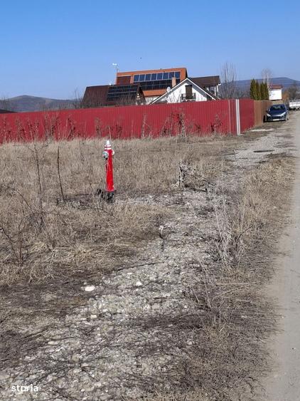 Teren 500 mp in Str. Nicolae Balcescu-Harman, curent pe teren! - 2