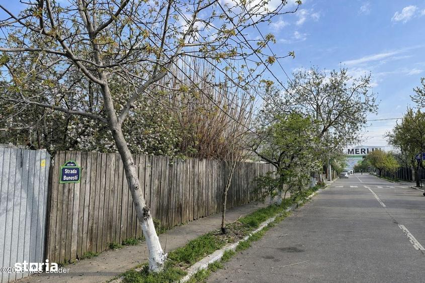 Teren de 881 mp, în Chitila