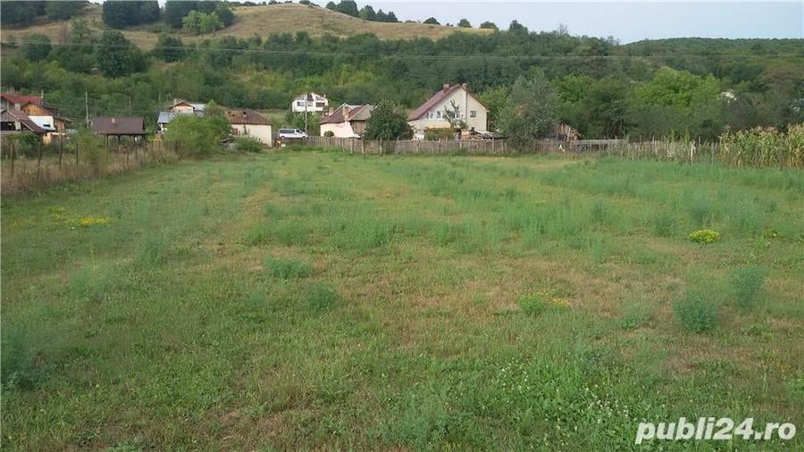 Teren de 3000 mp, în Budeasa