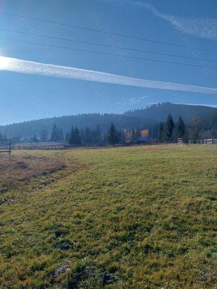 Teren de 6529 mp, în Valea Stânei