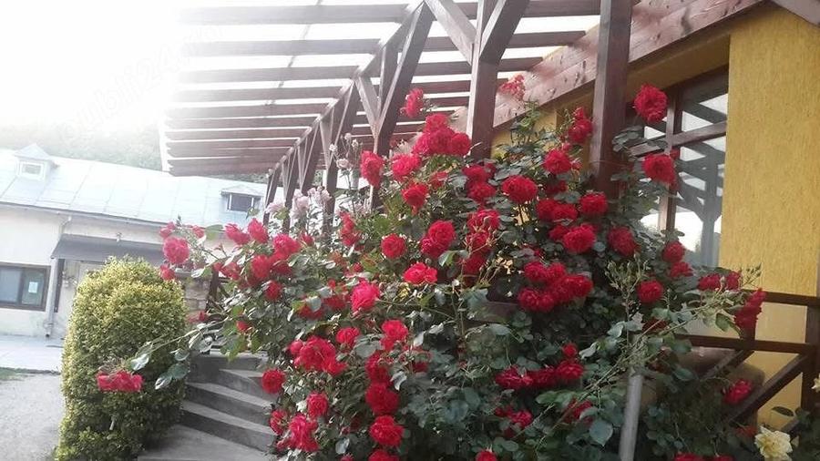 Casă cu 2 camere în Ultracentral