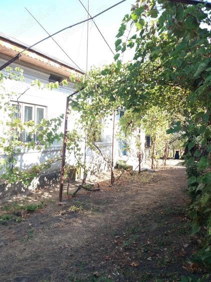 Casa de vanzare 1242 mp teren - 7