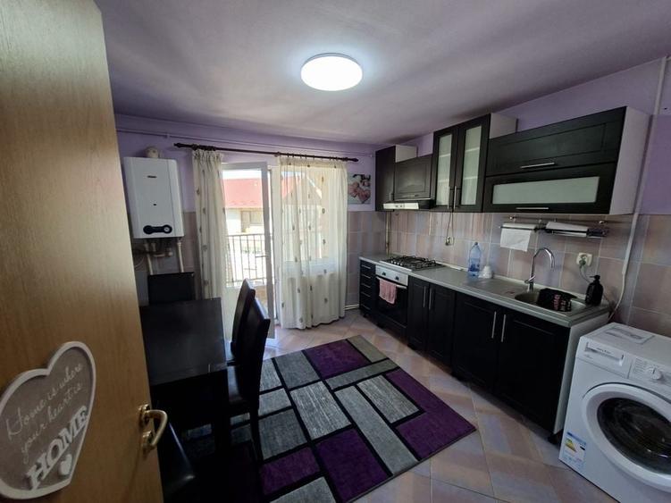 Apartament cu 2 camere decomandat în Turnișor