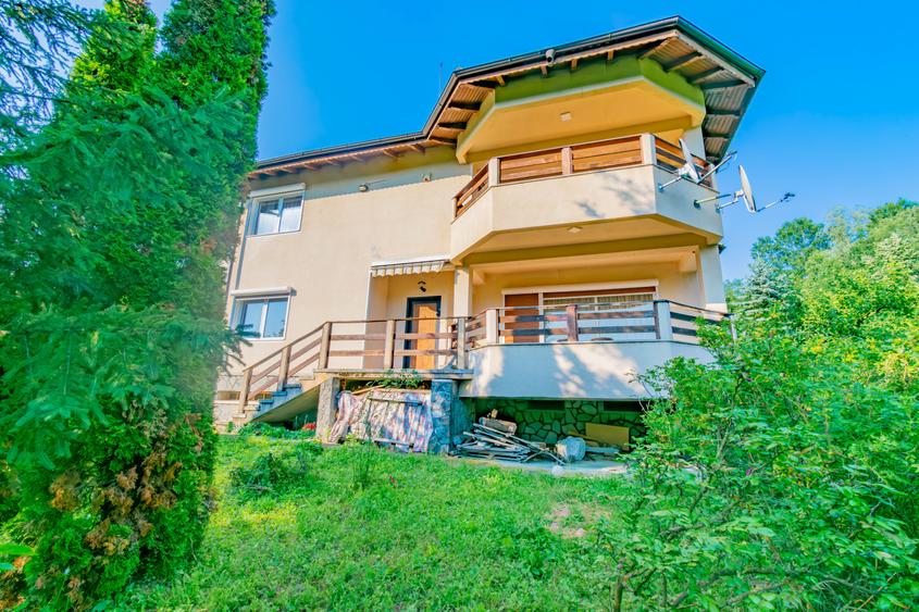 Vila la poalele padurii-Provita de jos - 5