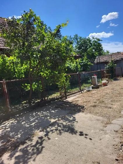 Casă cu 5 camere în Banloc