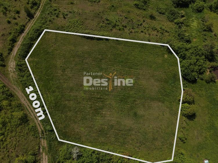 Teren Construcții intravilan de 8000 mp, în Ciurbești