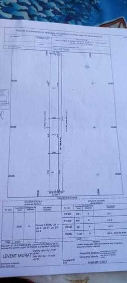 Teren intravilan 891 mp Valea lui Traian, utilitati, drum privat - 6