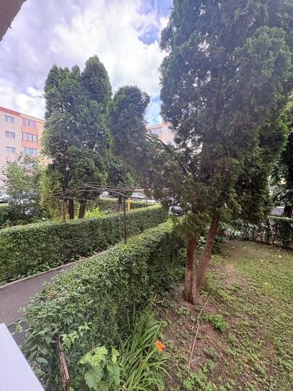 Apartament 3 camere , 2 băi în Brașov - 14