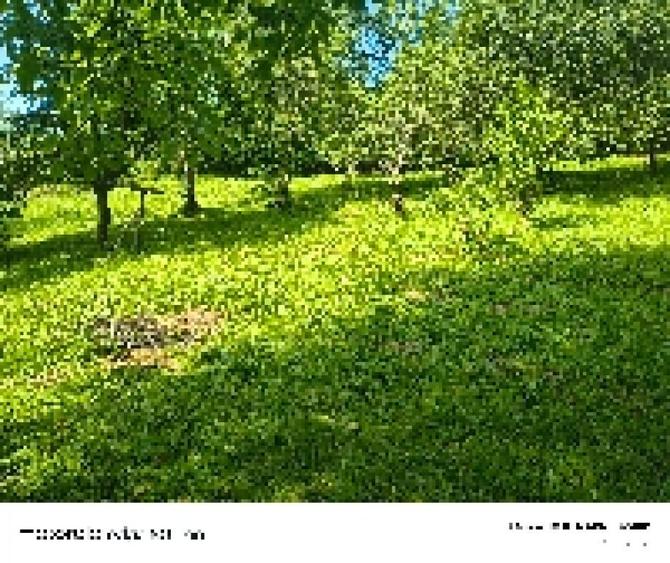 Teren intravilan - 4