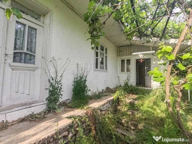 Casă cu 2 camere cu Teren 3972 Mp în Gura Idrici