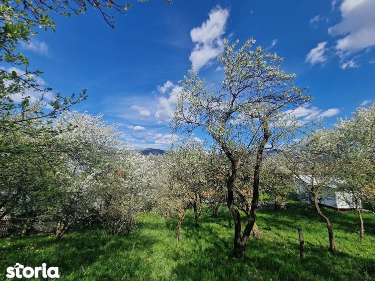 Teren de 1000 mp, în Ghioșești