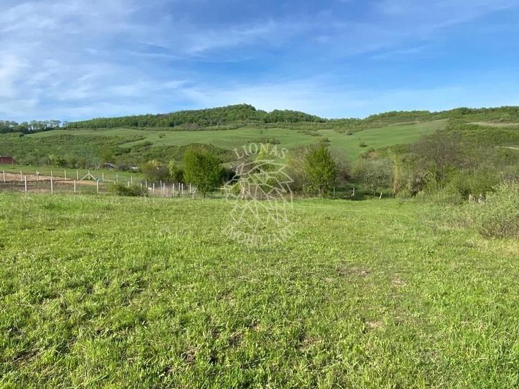 Teren agricol extravilan de 2160 mp, în Jelna