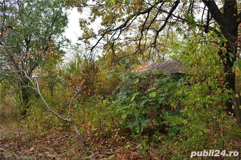 Teren de 7000 mp, în Ulmeni
