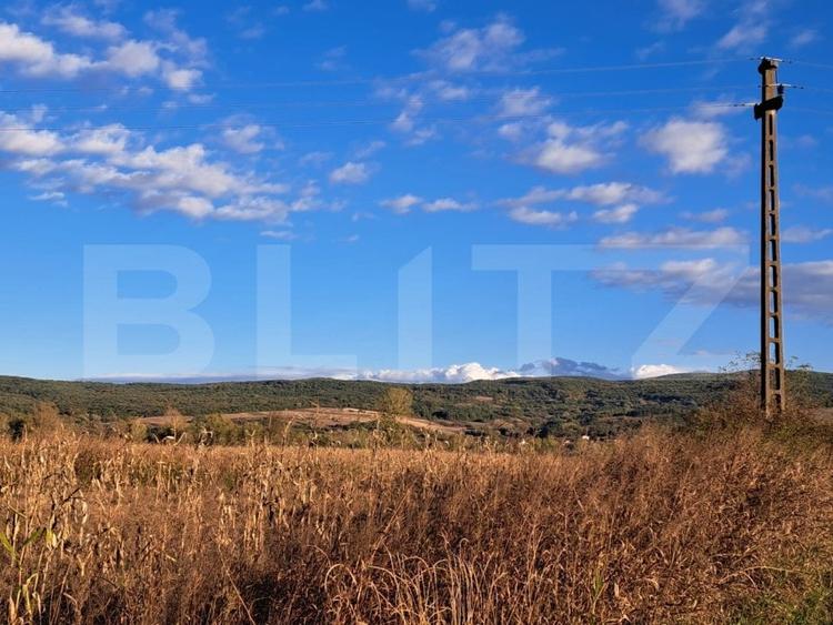 Teren Construcții extravilan de 7526 mp, în Exterior Sud