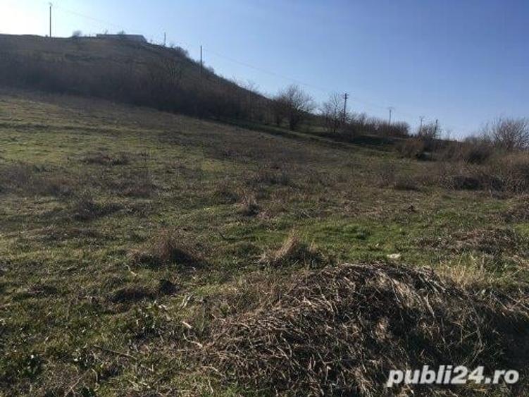 Teren de 3000 mp, în Mahmudia