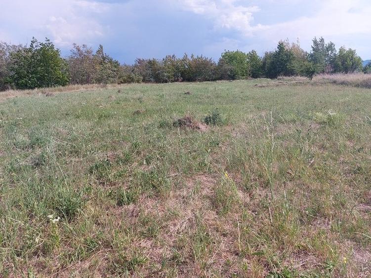 Teren Construcții intravilan de 1100 mp, în 1 Mai