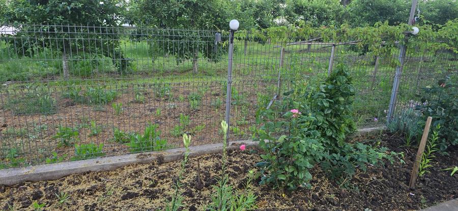 Teren Construcții intravilan de 1400 mp, în Ultracentral