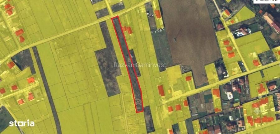 Teren intravilan de 3547 mp de vanzare in Sanmartin, GaminvestV4657