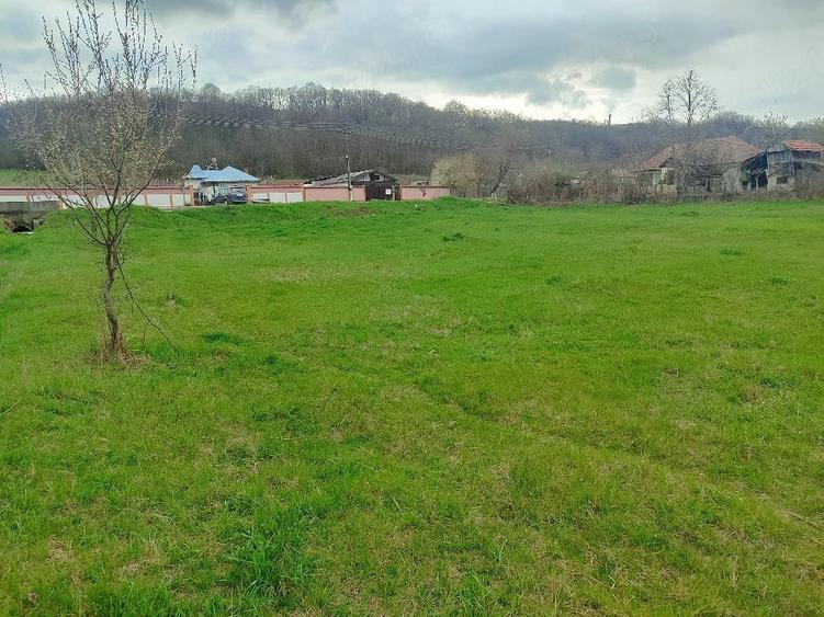 Teren de 3750 mp, în Verdea