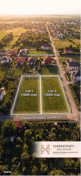 Spațiu comercial, în Cătrunești