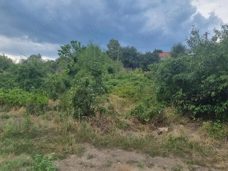 Teren de 1786 mp, în Nenciu