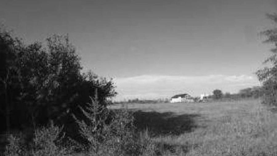 Teren agricol extravilan de 2500 mp, în Daia