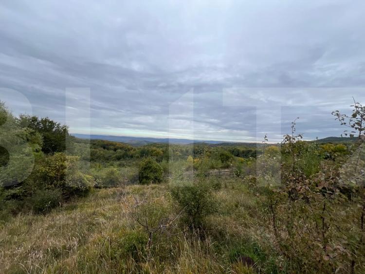 Teren Construcții intravilan de 1000 mp, în Ciurila