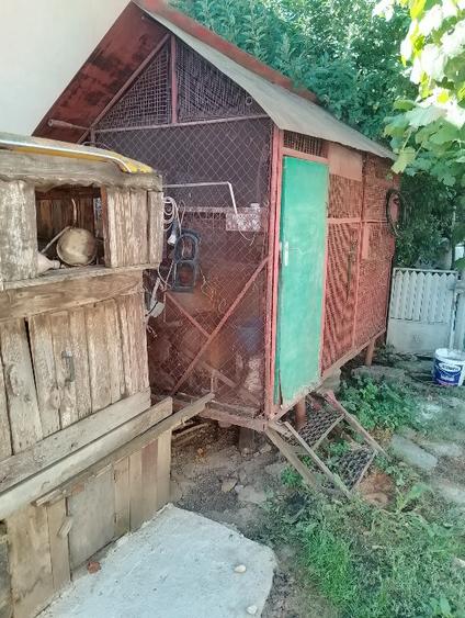 Casă individuală cu 3 camere cu Teren 789 Mp în Starchiojd