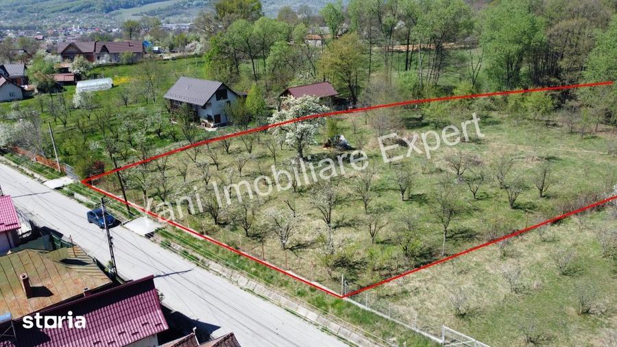Teren de 3851 mp, în Curtea de Argeș
