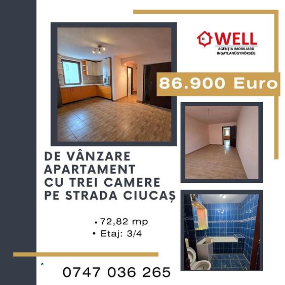 Apartament cu 3 camere în Central