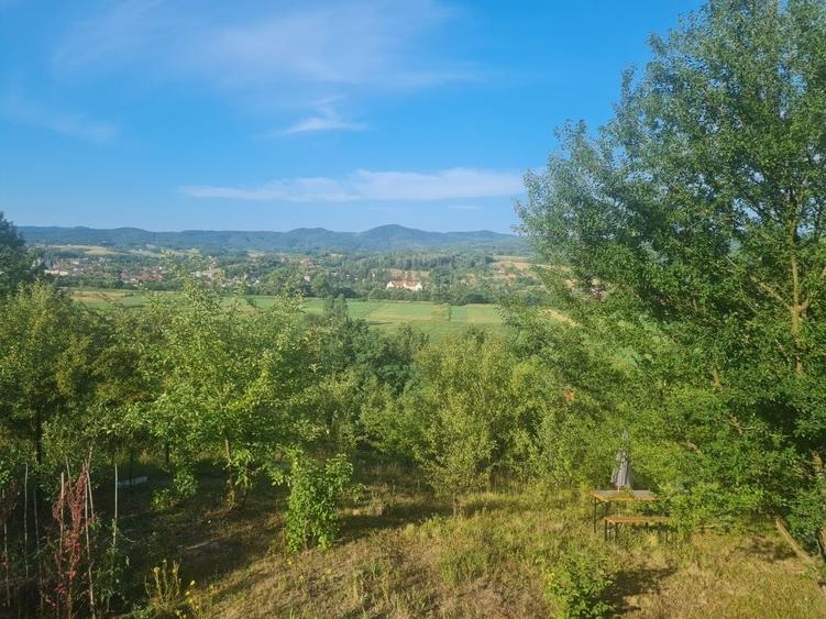 Casă cu 3 camere în Central