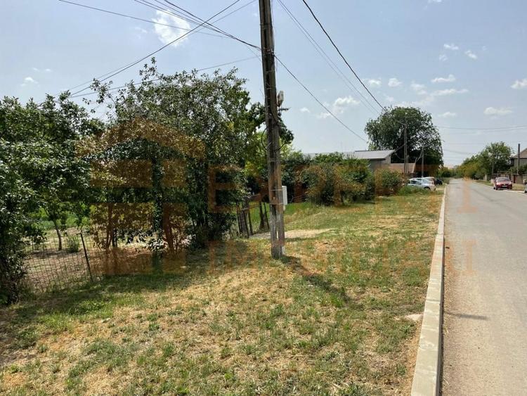 Teren Construcții intravilan de 2581 mp, în Mihail Kogălniceanu