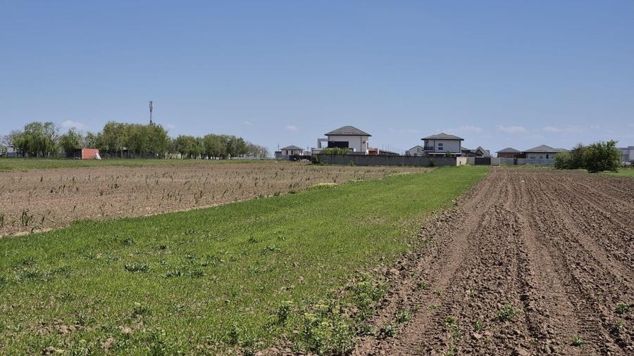 Teren agricol extravilan de 9983 mp, în Berceni