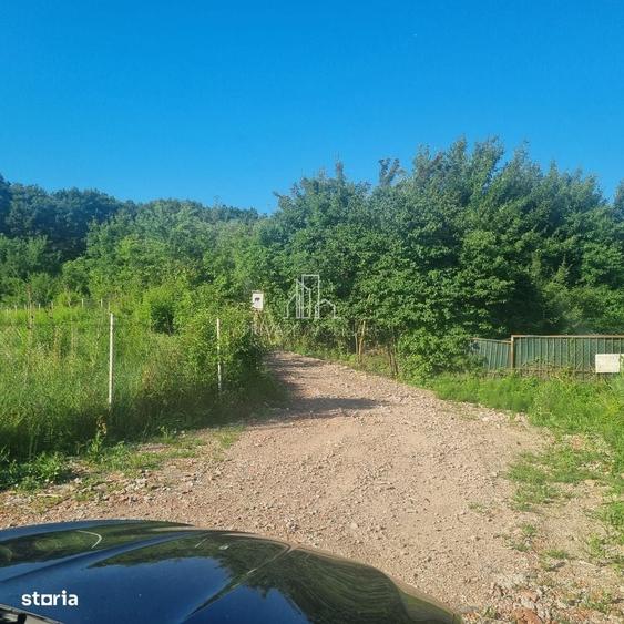 Teren Extravilan/Padure 90 000 Mp de Vanzare Zona Corunca/Acatari - 4