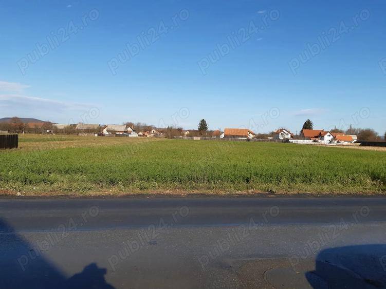 Teren de 5000 mp, în Lunca Calnicului