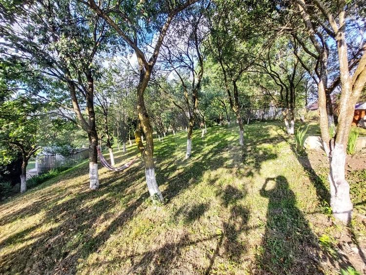Casă cu 3 camere cu Teren 1903 Mp în Vechea