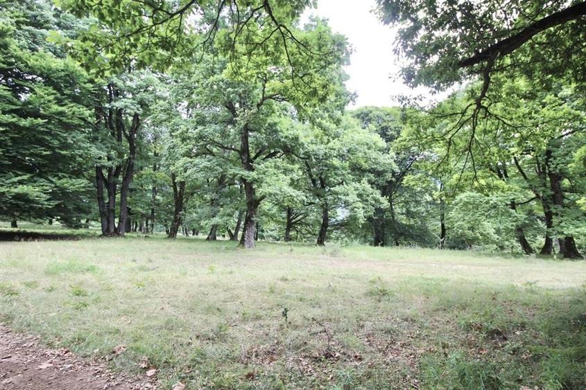 Teren Construcții intravilan de 4713 mp, în Poiana Brașov