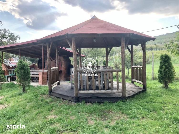 Teren de 6200 mp, în Mogoșești