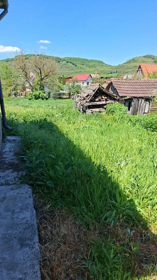 Teren de 1100 mp, în Băbuțiu