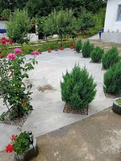Casă cu 2 camere semidecomandat în Sârbi
