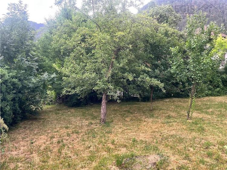 Casă cu 5 camere cu Teren 1590 Mp în Schei