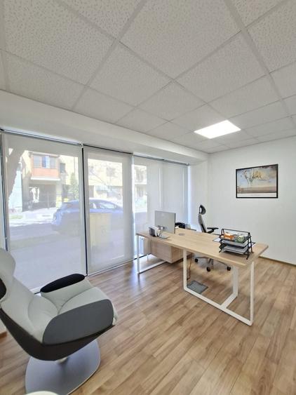 Birou, de 160.19000244141 mp, în Elisabetin