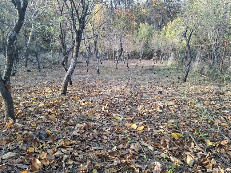 Teren de 1200 mp, în Băbana