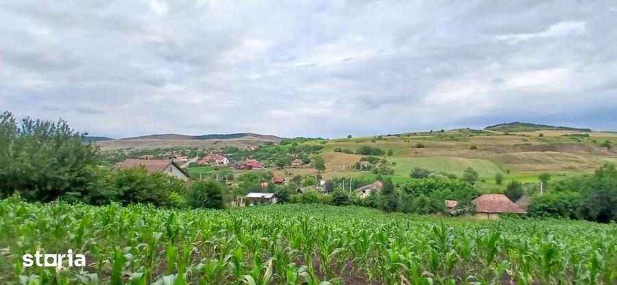 Casă cu 2 camere cu Teren 7000 Mp în Central