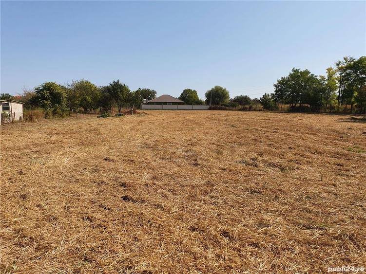Teren de 4800 mp, în Pecineaga