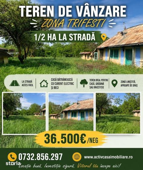 Teren de 5000 mp, în Trifești