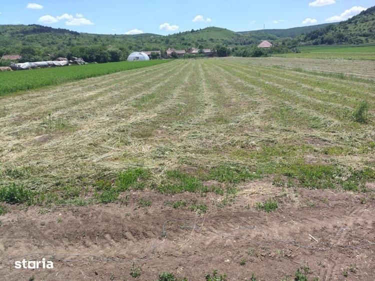 Teren de 3024 mp, în Sântimbru