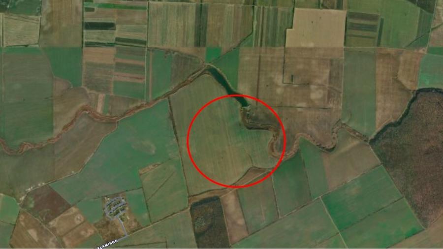 Teren agricol extravilan de 29965 mp, în Balotești